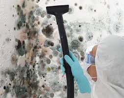 Best Biohazard Mold Removal  in New Orleans Station, LA